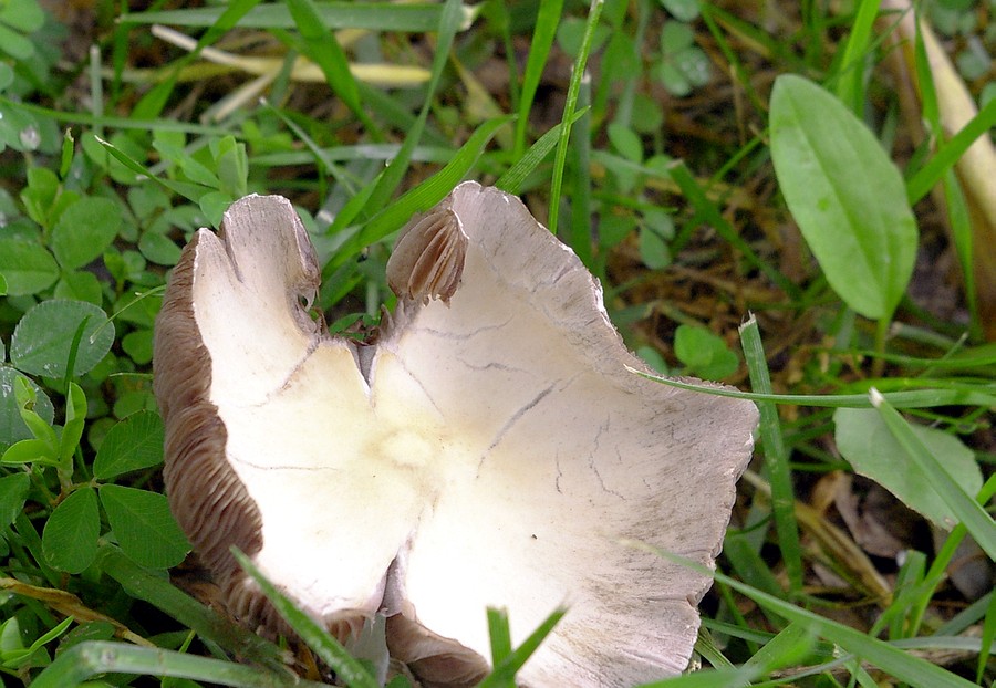 P0188.JPG