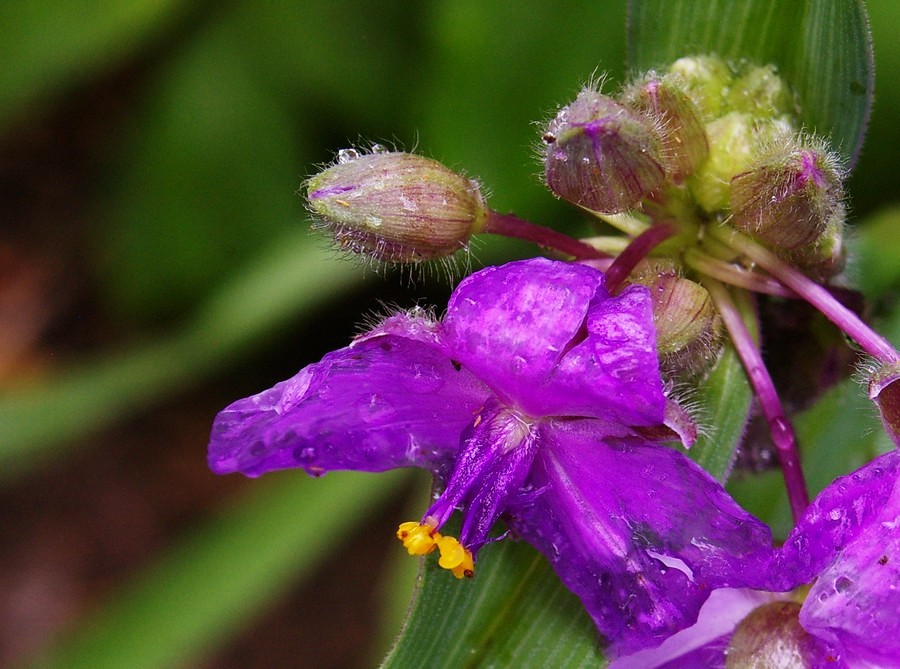 P9527.JPG