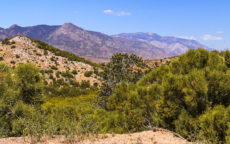 View along the Palms to Pines Scenic Byway in Santa Rosa & San Jacinto Mtns NM