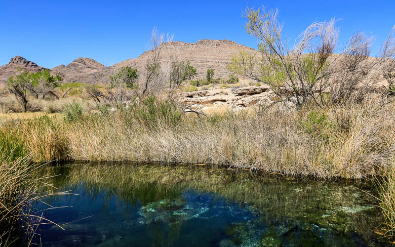 View across the Kings Pool at Point of Rocks in Ash Meadows NWR