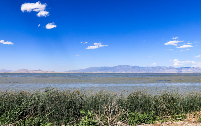 View across the Great Salt Lake from Bear River Migratory Bird Refuge