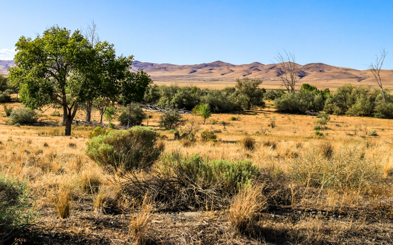 The Saddle Mountains viewed from the Wahluke Unit (East) in Hanford Reach National Monument