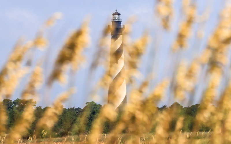 Beachgrass cloaks the Cape Hatteras Lighthouse in Cape Hatteras NS