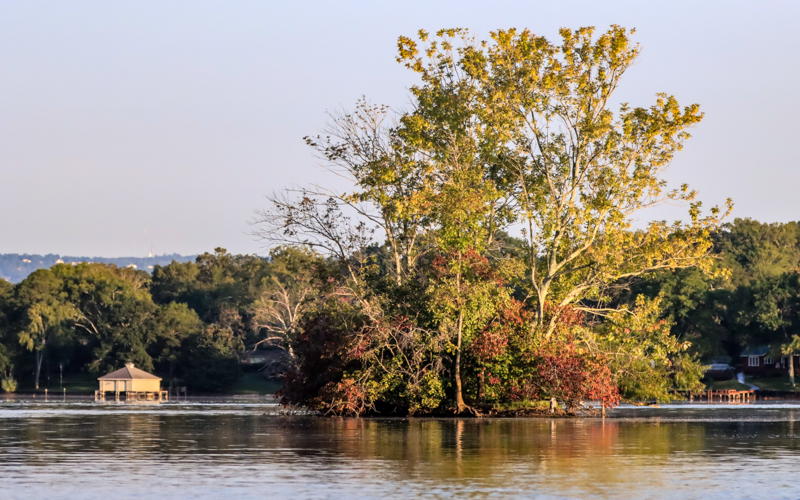Early morning sunlight paints an island of trees in Chickamauga Lake
