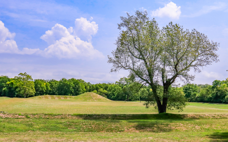 Elliptical Mound and Mound 7 in the Mound City Group in Hopewell Culture NHP 