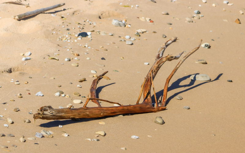 Sticks and stones on the beach on South Manitou Island in Sleeping Bear Dunes NL