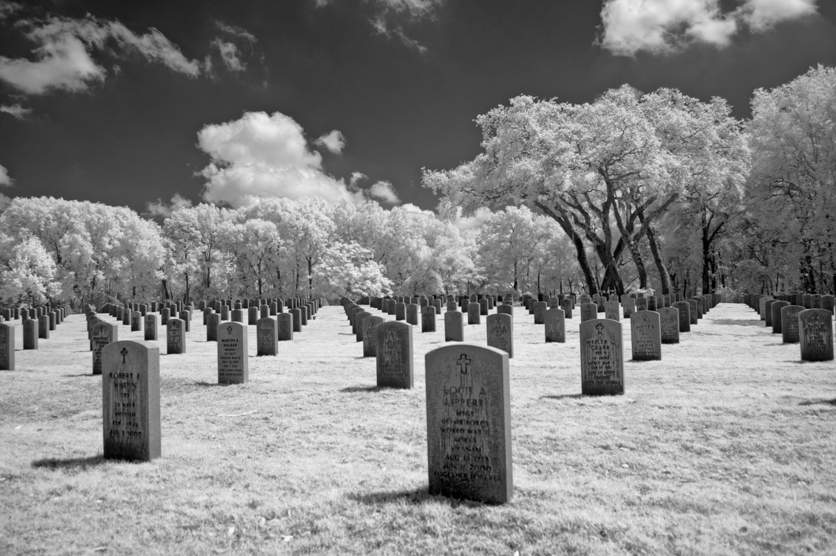 DSC_5787.jpg