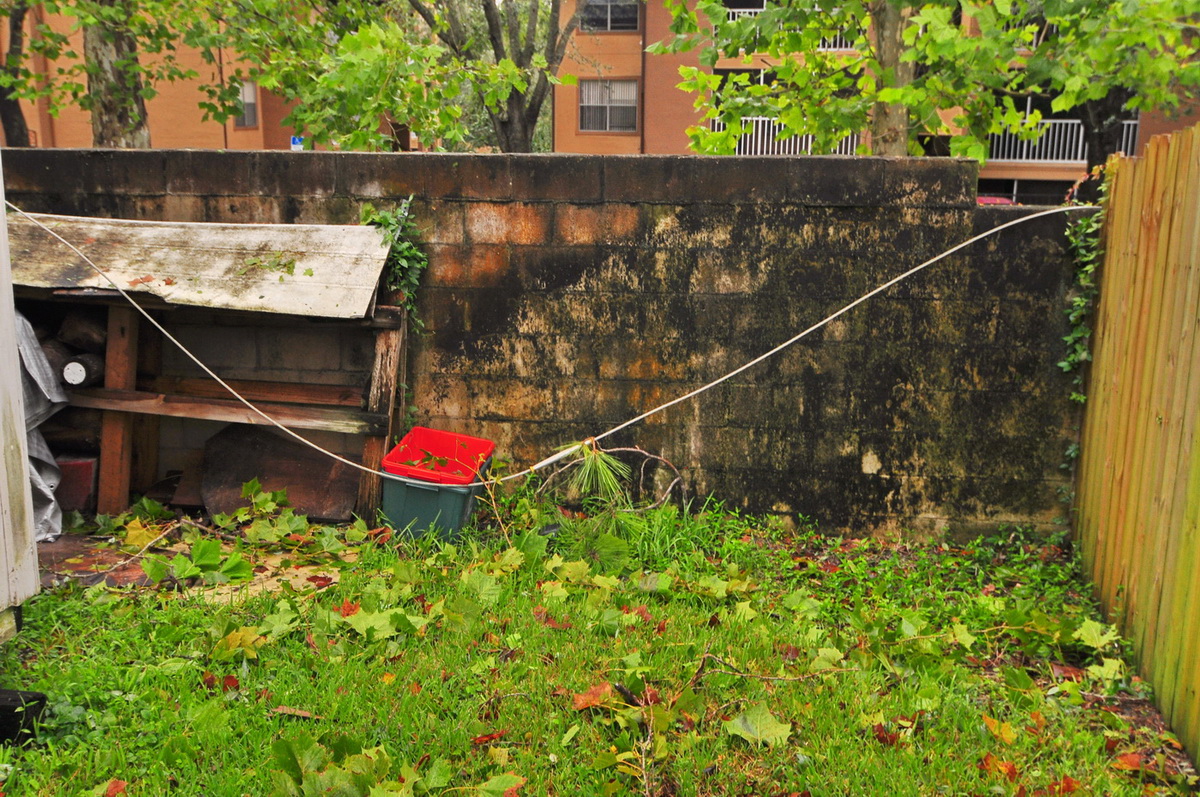DSC_0009_resize.JPG