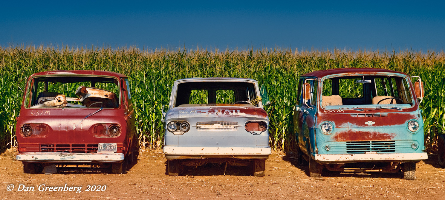Three Old Vans and a Cornfield