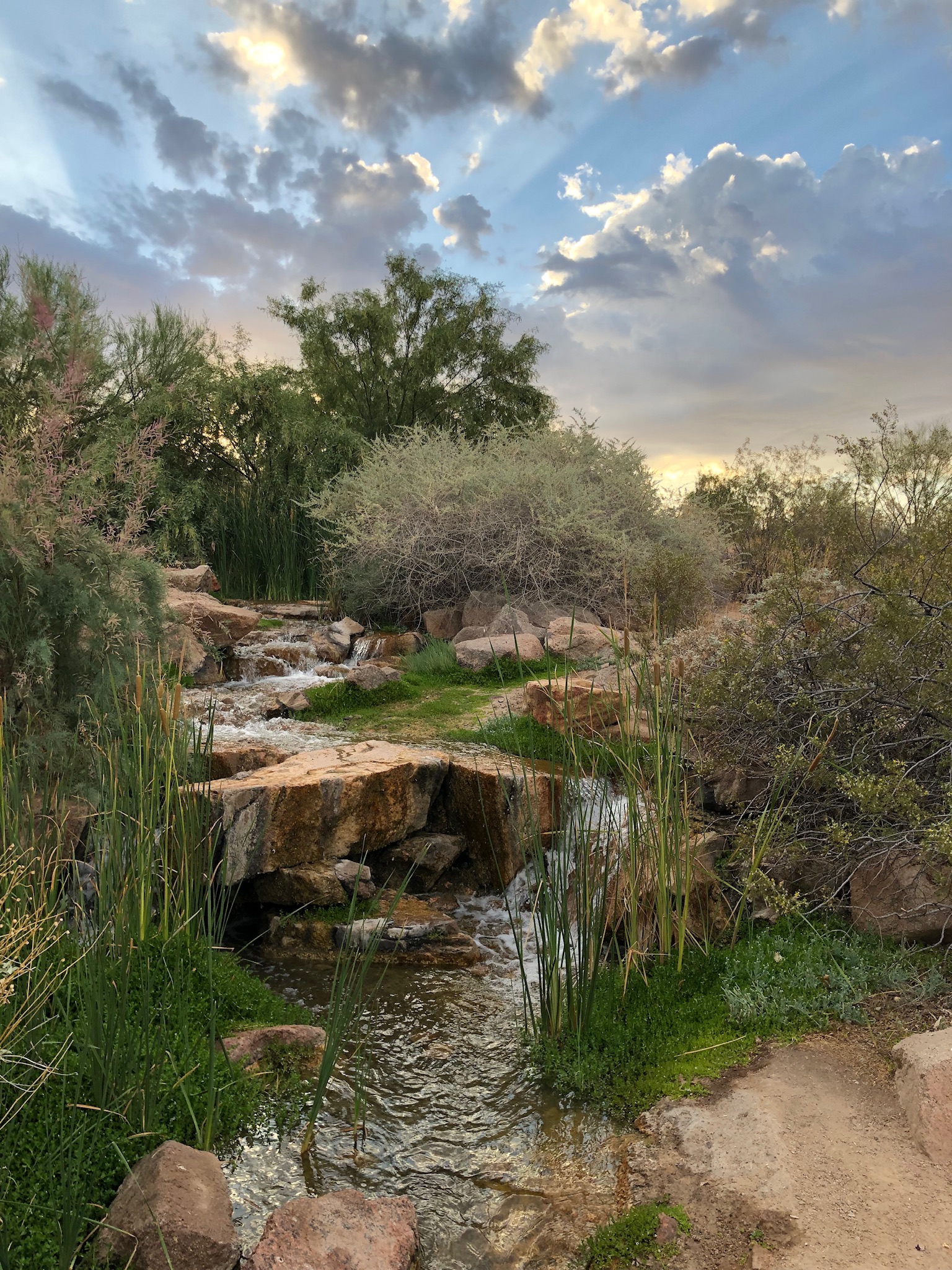 Veterans Oasis : Chandler 