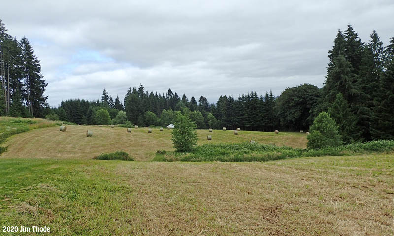 Fine View lots in distance