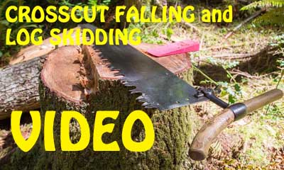 Falling and Skidding