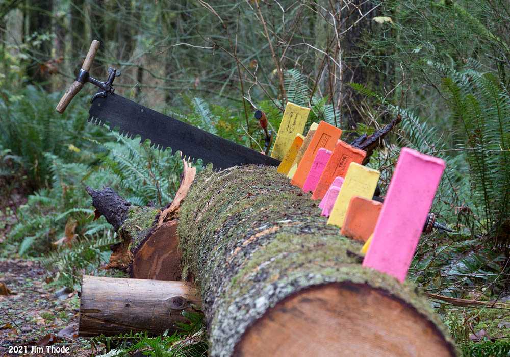 More firewood