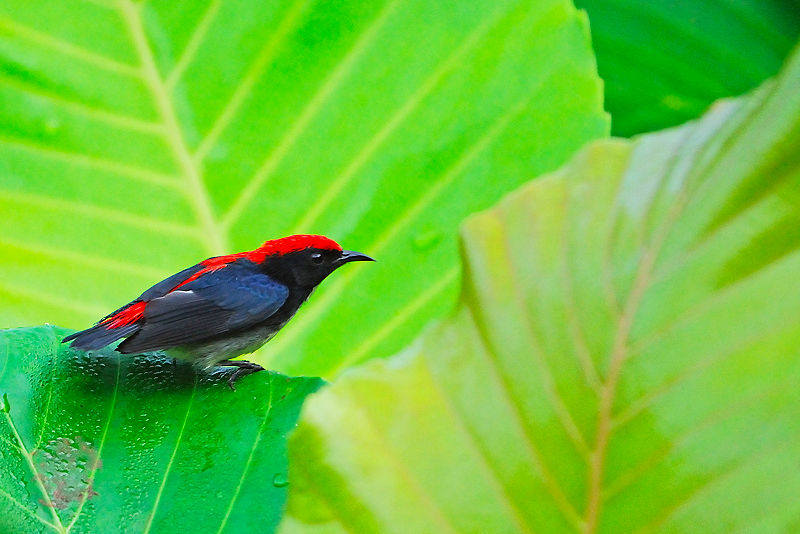 DSC_4257.jpg