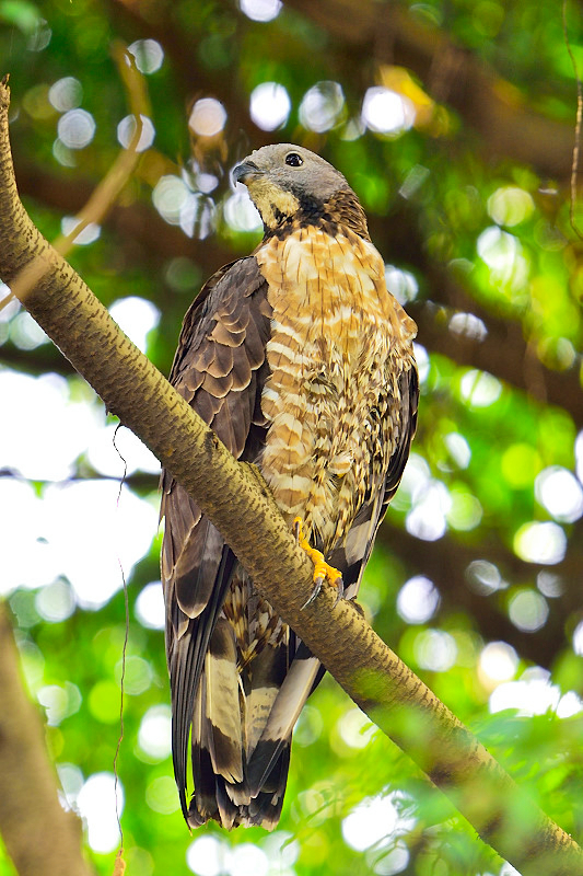 DSC_7424.JPG