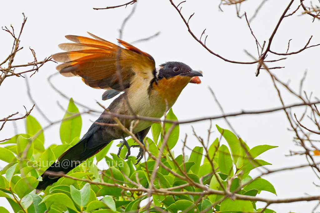 DSC_0320_DxO.jpg
