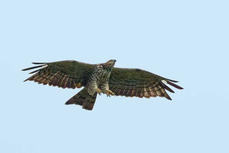 DSC_7941_DxO.jpg