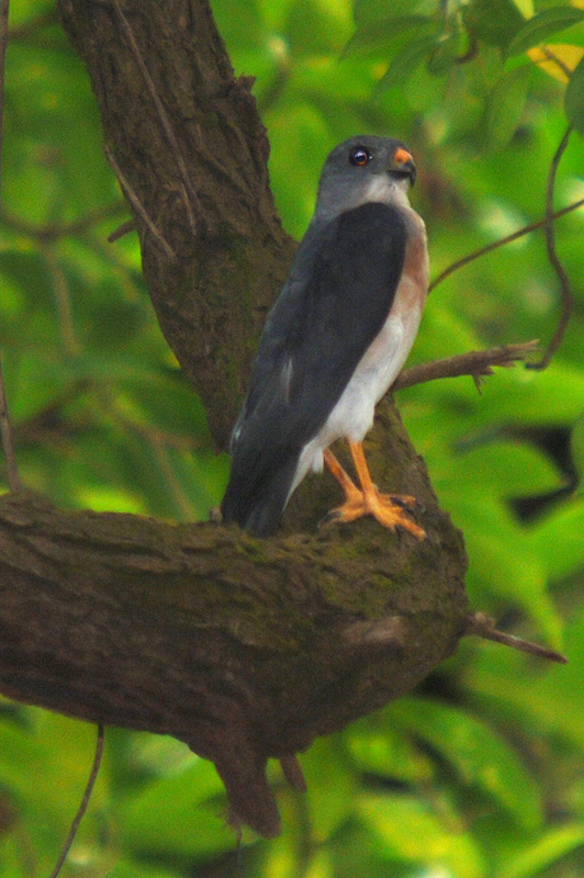 DSC_2769.jpg