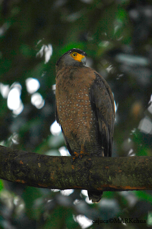 DSC_0283.jpg