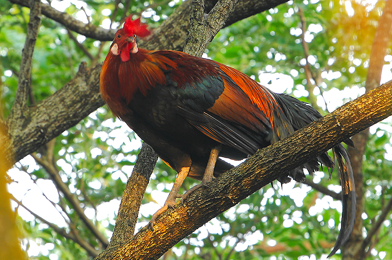 DSC_0891.jpg