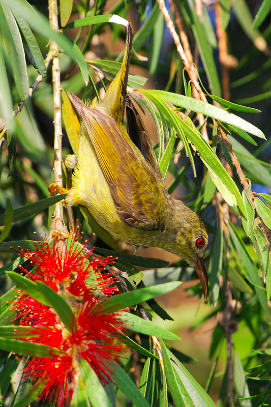 DSC_1436.jpg