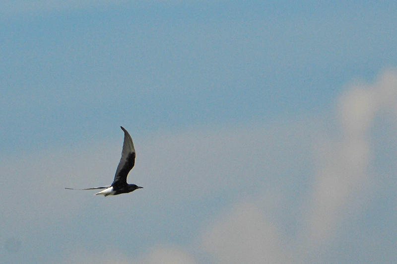 DSC_1751.jpg