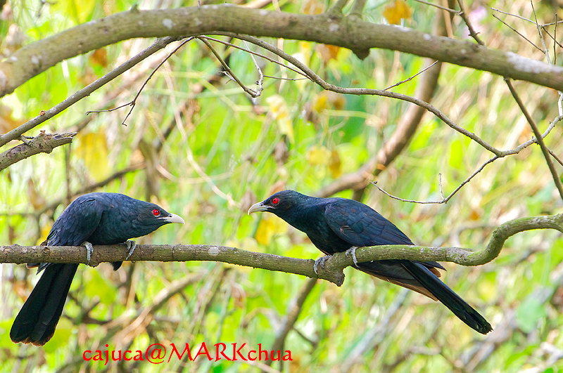 DSC_6625.jpg