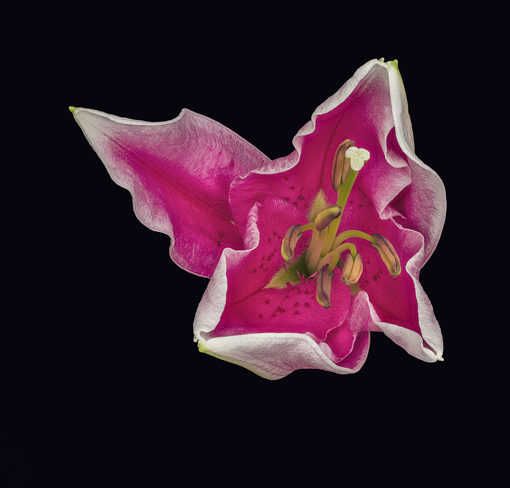 2022-02-26-06.58.35 ZS PMax_crop.jpg
