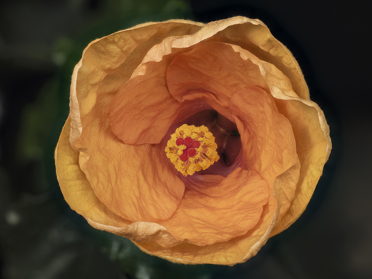 2022-04-14-15.16.11 ZS PMax.jpg