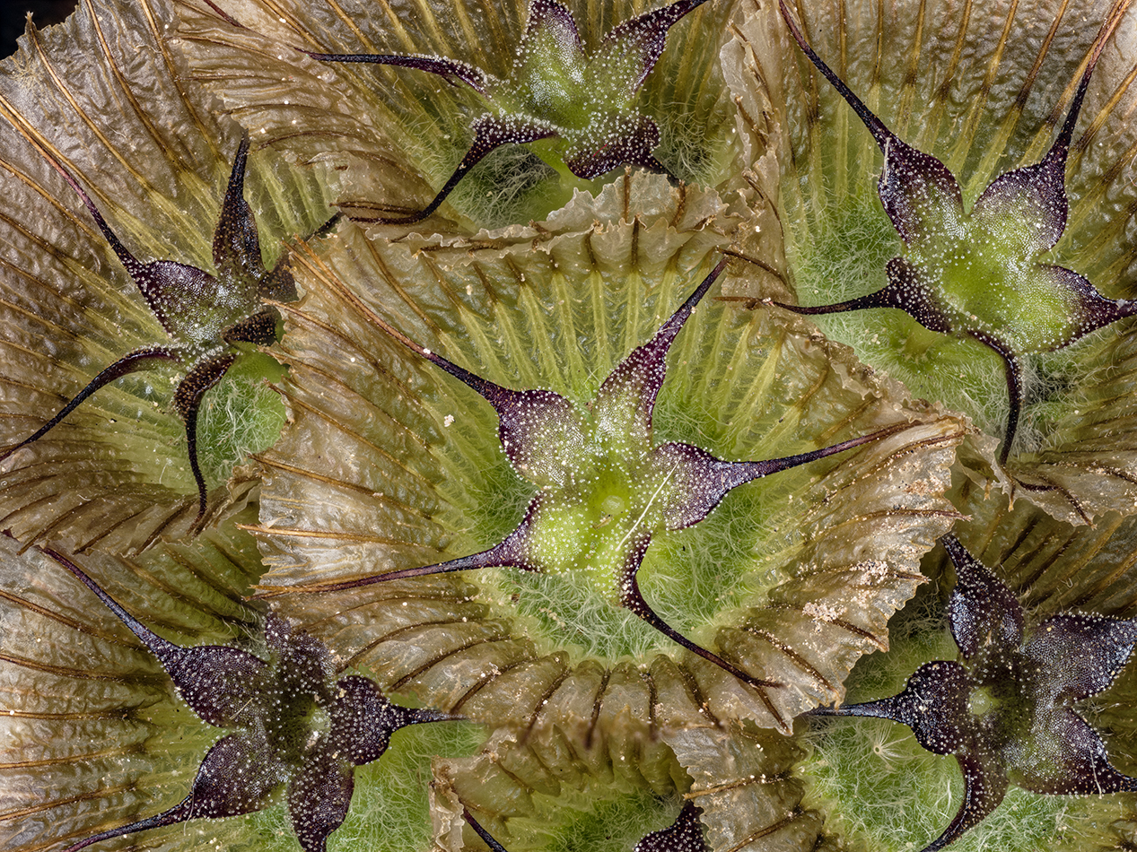 2023-01-26-12.52.12 ZS PMax_openWith.jpg
