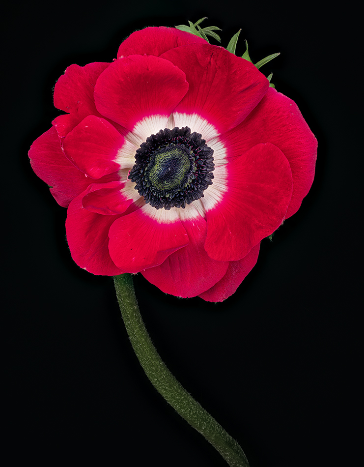 2023-02-08-03.19.31 ZS PMax_openWith.jpg