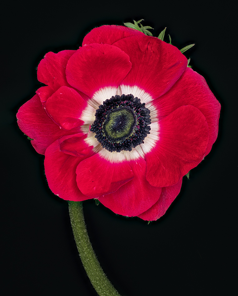 2023-02-08-03.51.23 ZS PMax_openWith.jpg