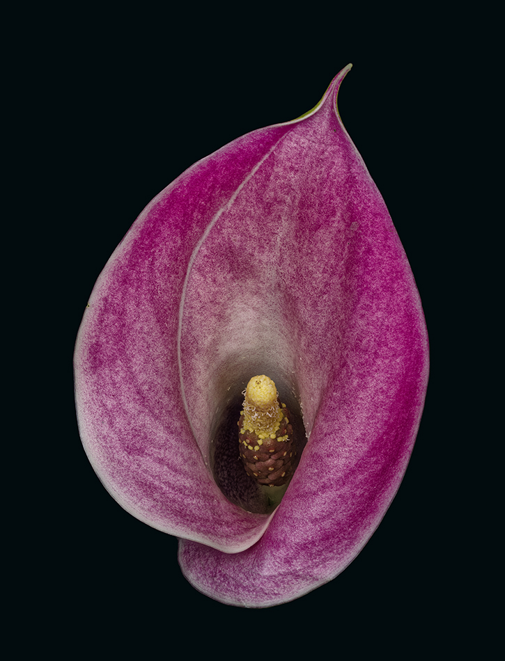 2023-11-25-04.18.01 ZS PMax_openWith.jpg