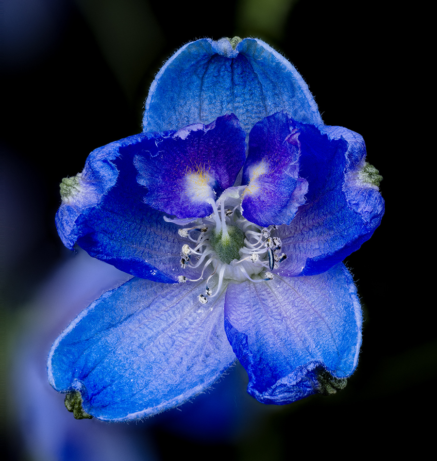 2024-01-25-12.18.31 ZS PMax_openWith.jpg