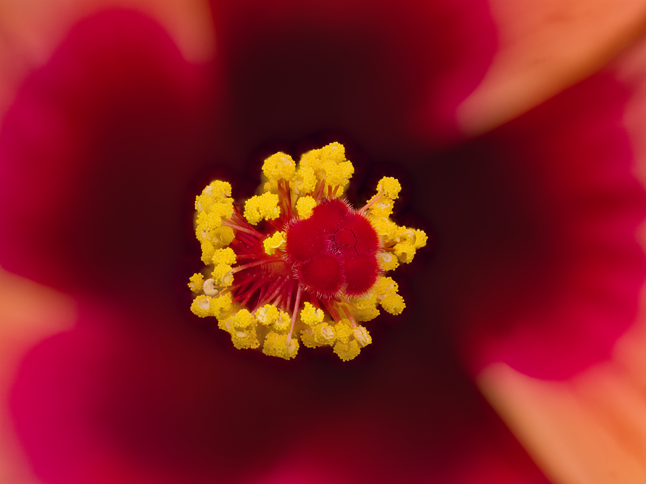 2024-04-30-09.47.32 ZS PMax_openWith.jpg