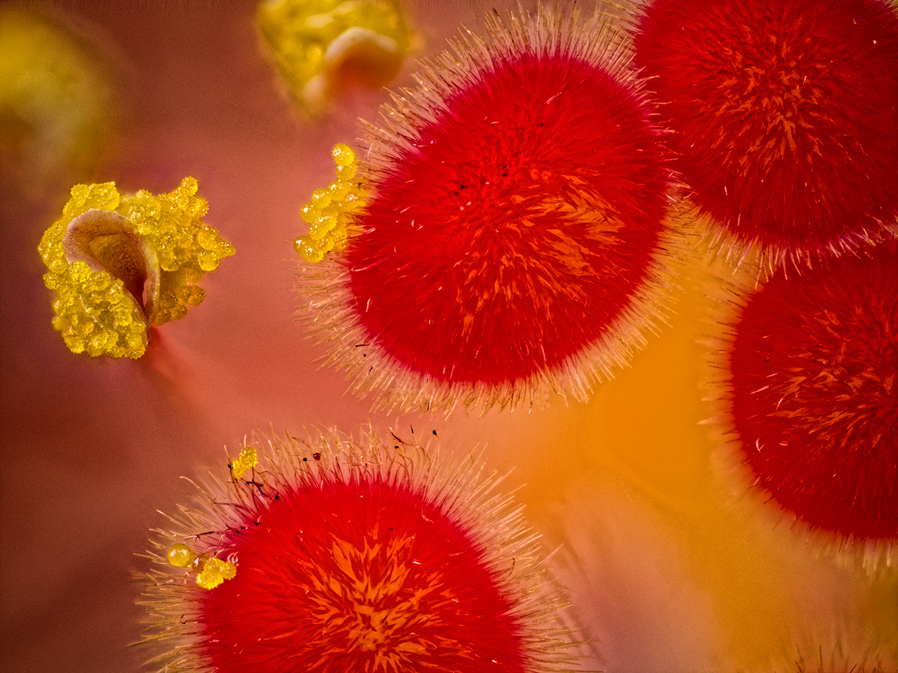 2024-05-02-12.04.01 ZS PMax_openWith.jpg