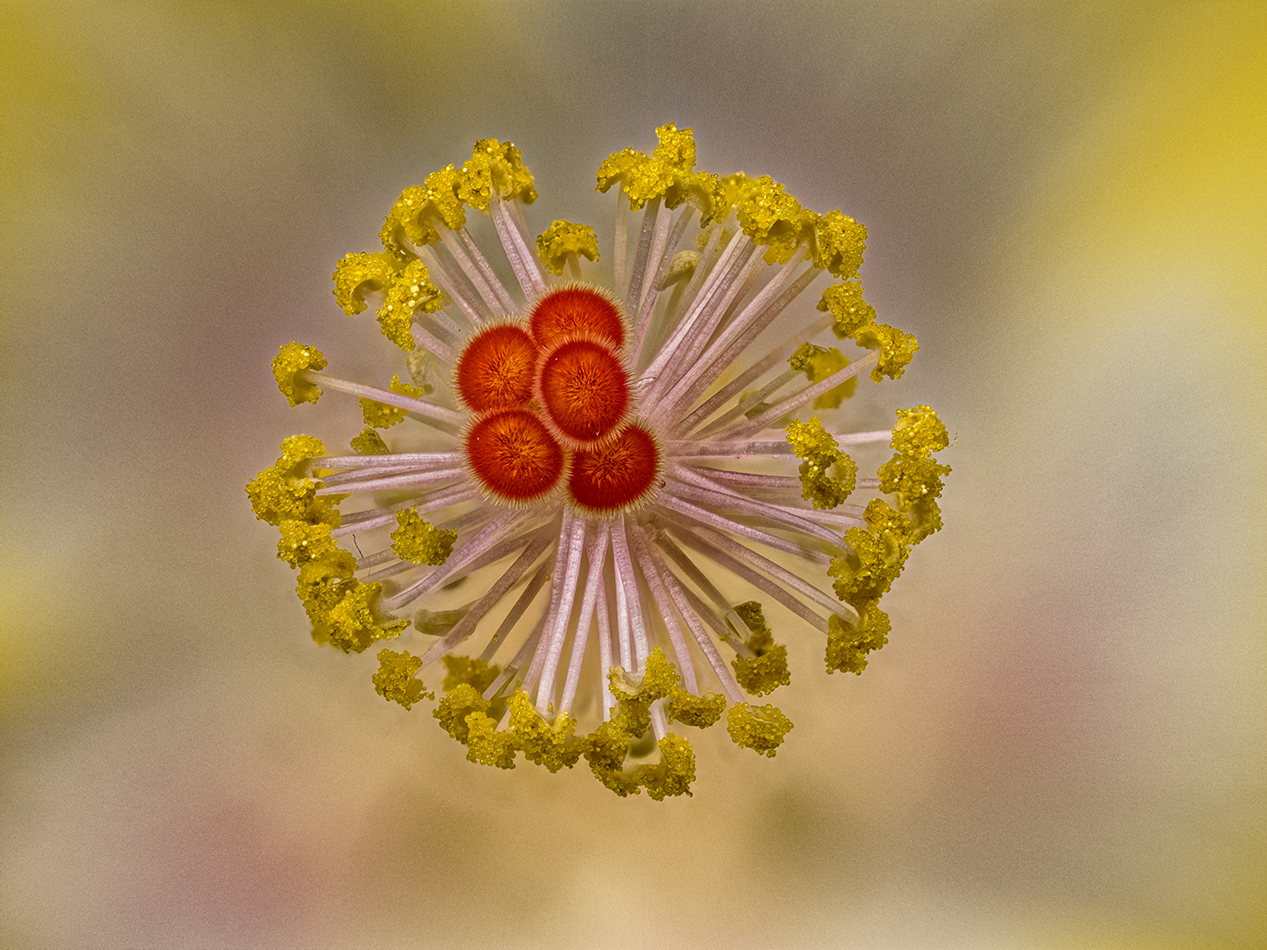 2024-05-14-11.36.26 ZS PMax_openWith.jpg