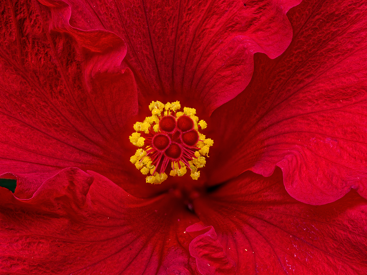 2024-06-24-12.10.37 ZS retouched_openWith.jpg