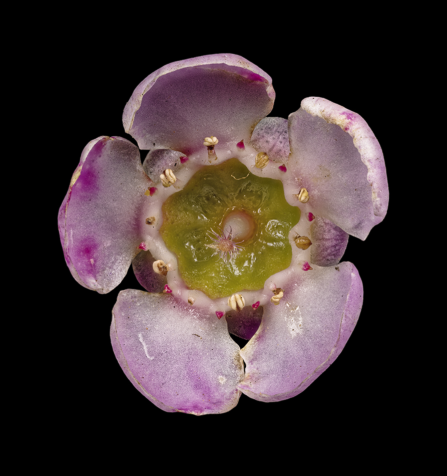2025-02-27-05.05.11 ZS PMax_openWith.jpg