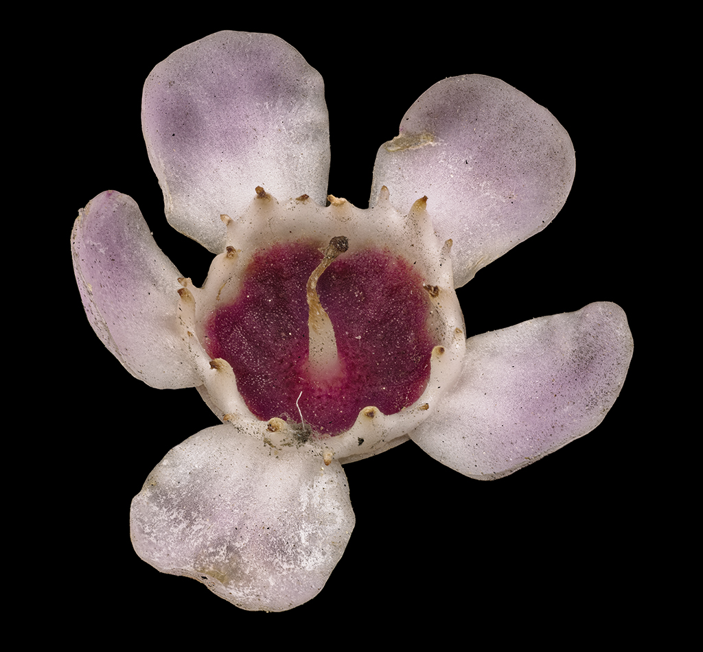 2025-03-14-15.23.50 ZS PMax_openWith.jpg