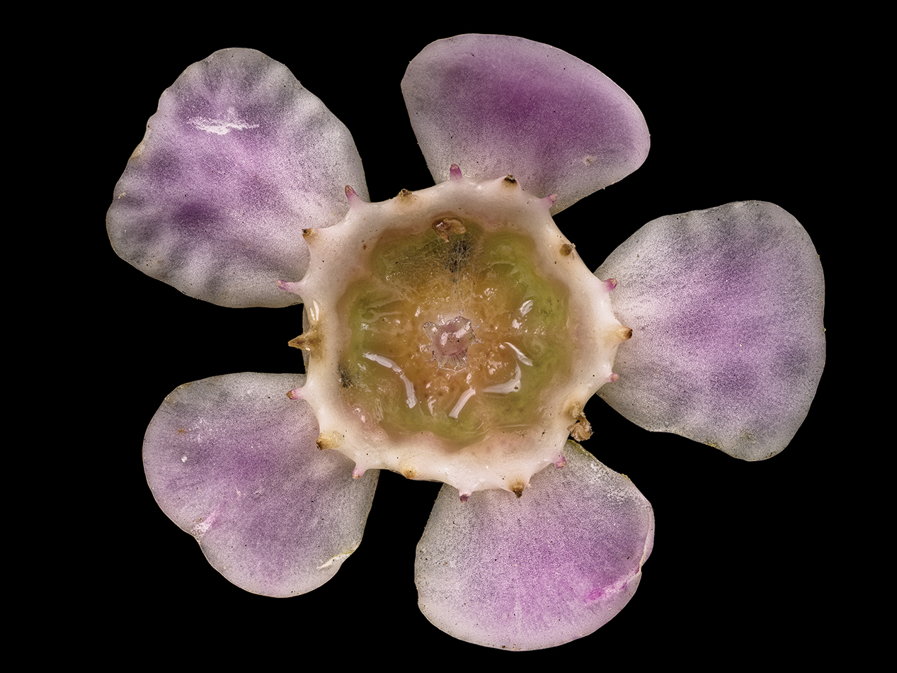 2025-03-14-14.47.15 ZS PMax_openWith.jpg