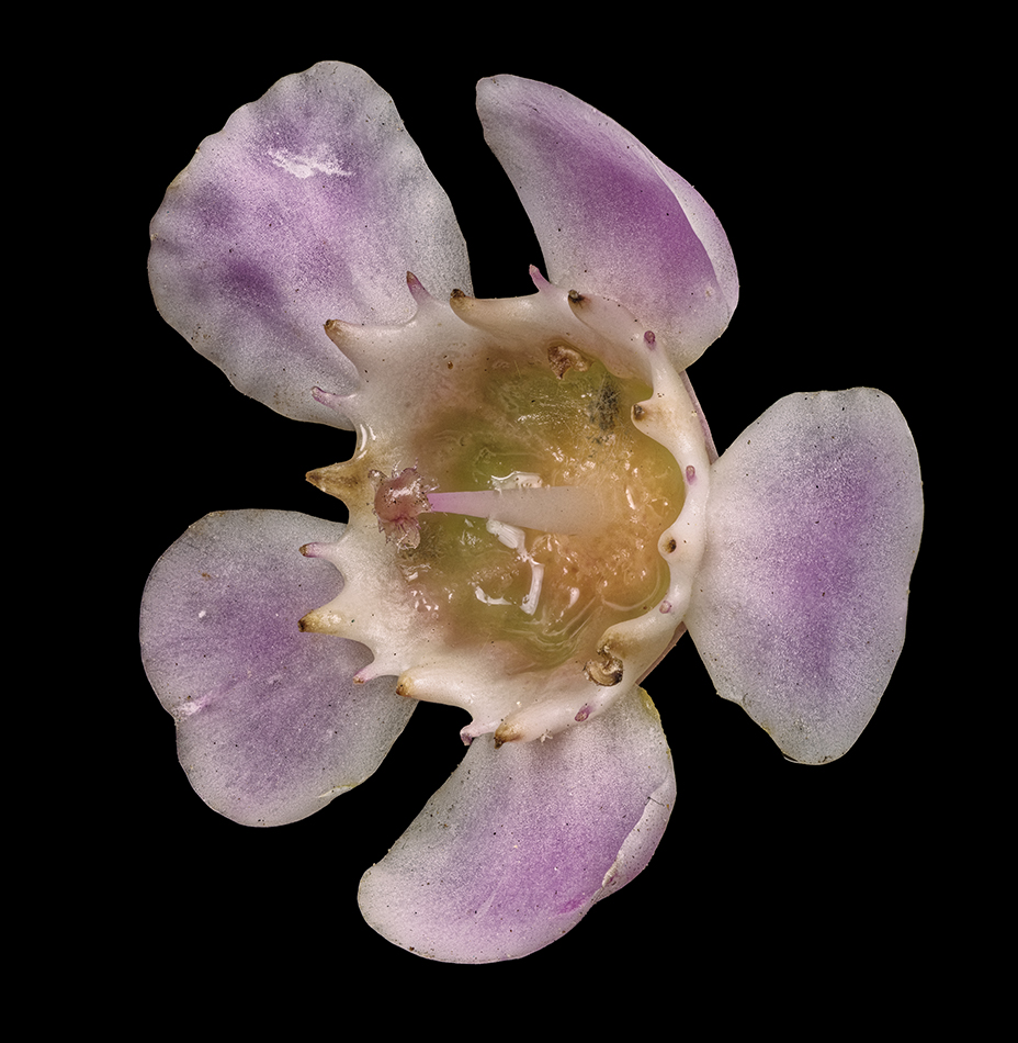 2025-03-14-16.03.27 ZS PMax_openWith.jpg