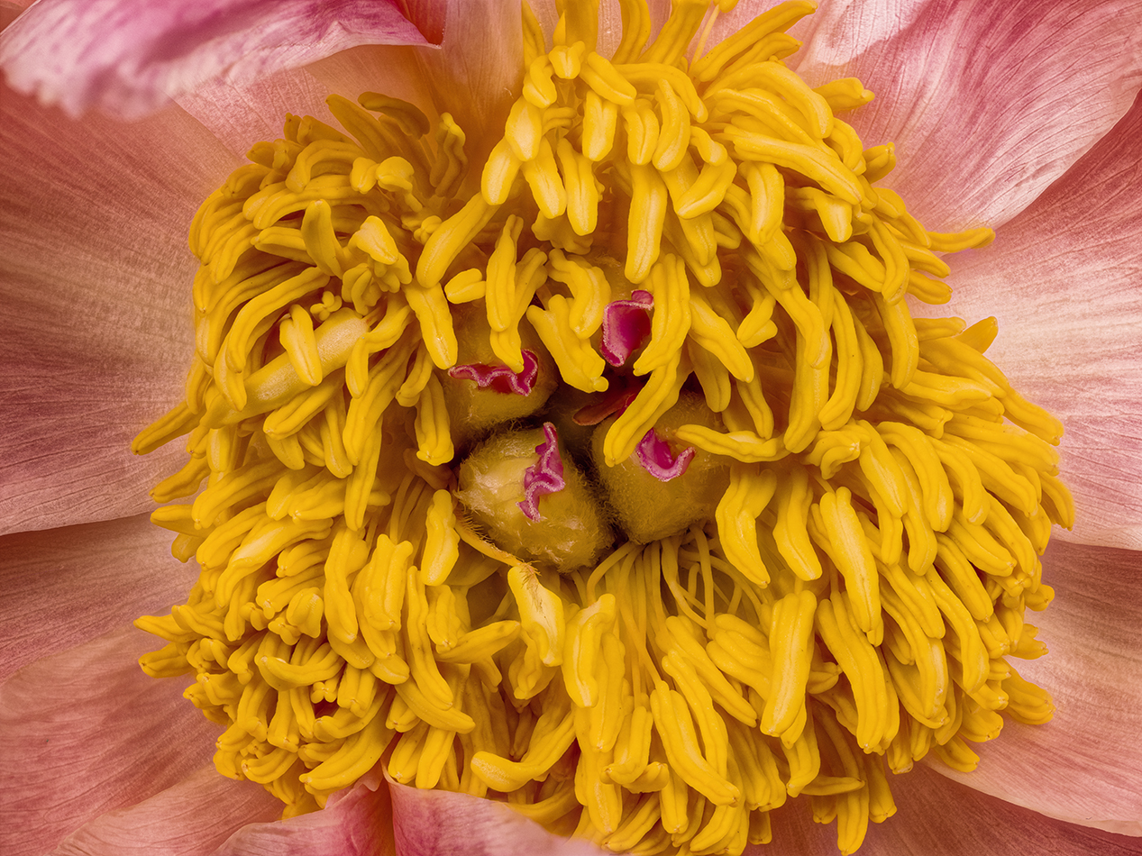 2025-04-11-13.35.33 ZS PMax_openWith.jpg