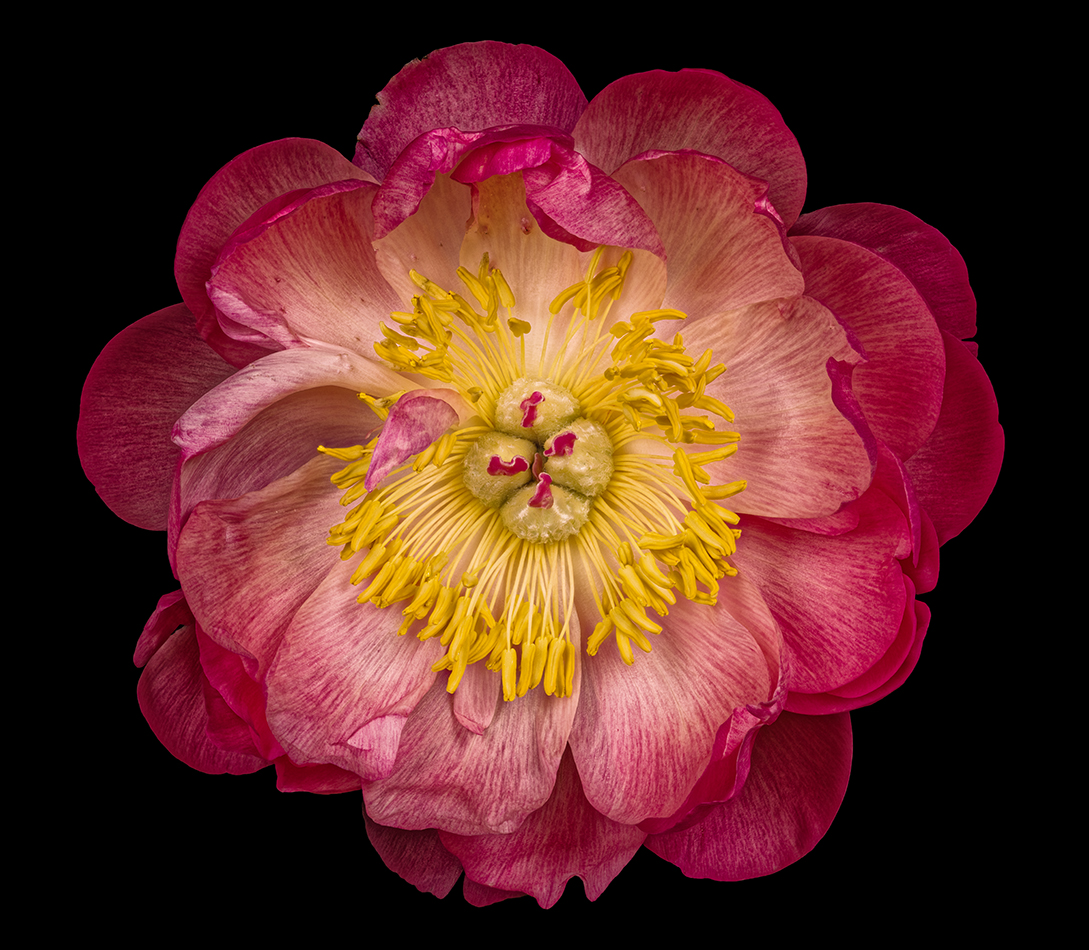 2025-05-05-12.53.28 ZS PMax_openWith.jpg