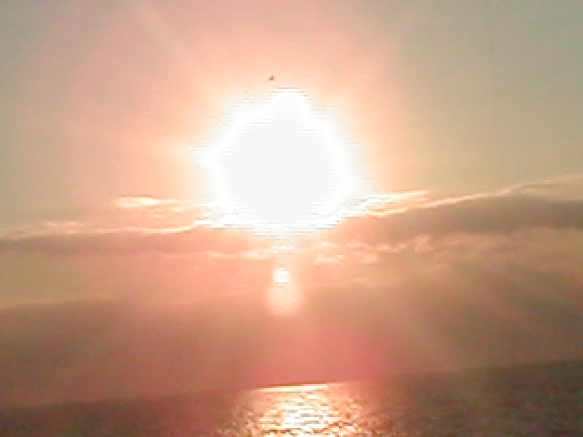 p1010079.JPG