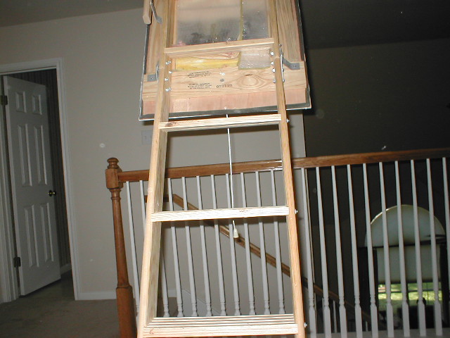0205_attic_0001.JPG