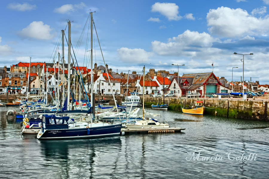 ANSTRUTHER HARBOR_8265.jpg