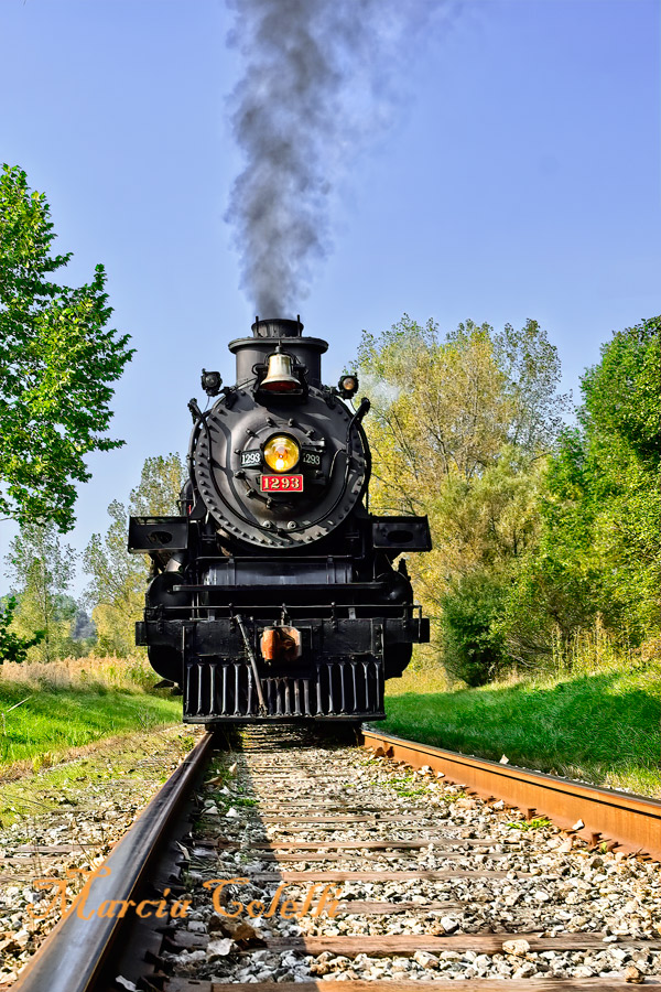  The Ohio Central #1293 steam-engine-0731.jpg