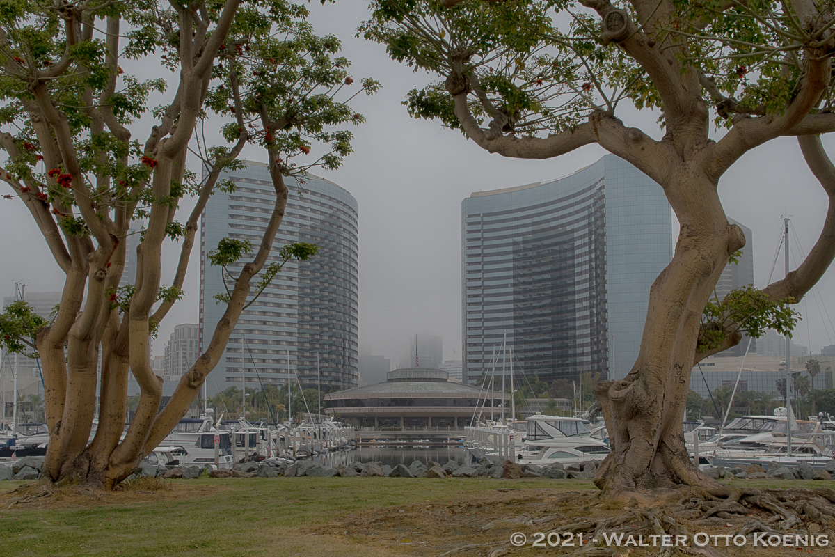 Foggy Morning at Embarcadero Marina 