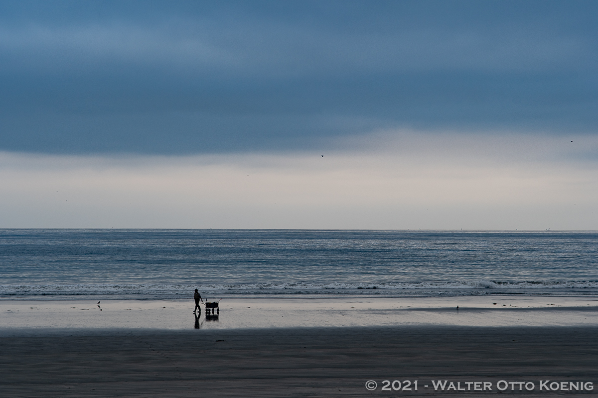 Clam Digger